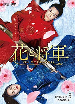 中国ドラマレビュー『花と将軍～OH MY GENERAL～』（原題 将軍在上）ここにもいた！ナイト属性”報われぬ恋でも尽くす見守り男子”＠胡青、てこ監修”イケメン備忘録”は【丁川ディン・チュアン】【張峻鳴チャン・ジュンミン】【盛一倫/盛一伦ション・イールン】  キャスト情報 ...